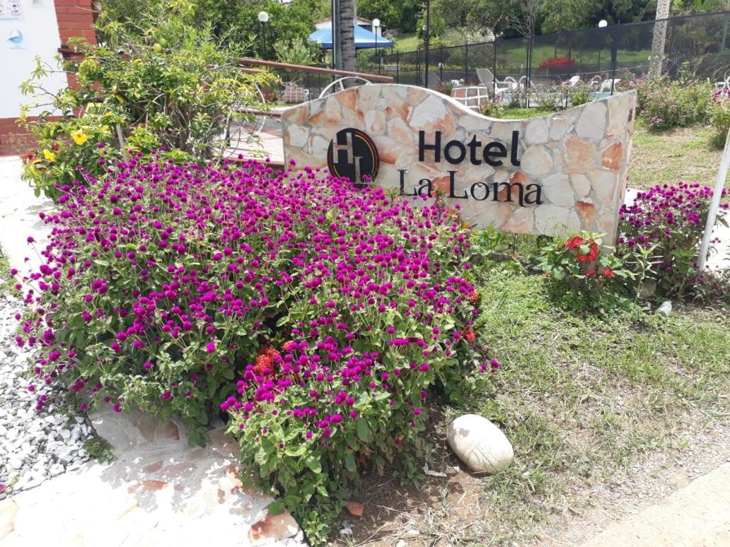 Hotel Campestre La Loma Курити Экстерьер фото